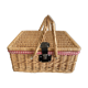 Large Suitcase, wicker picnic basket and red Vichy