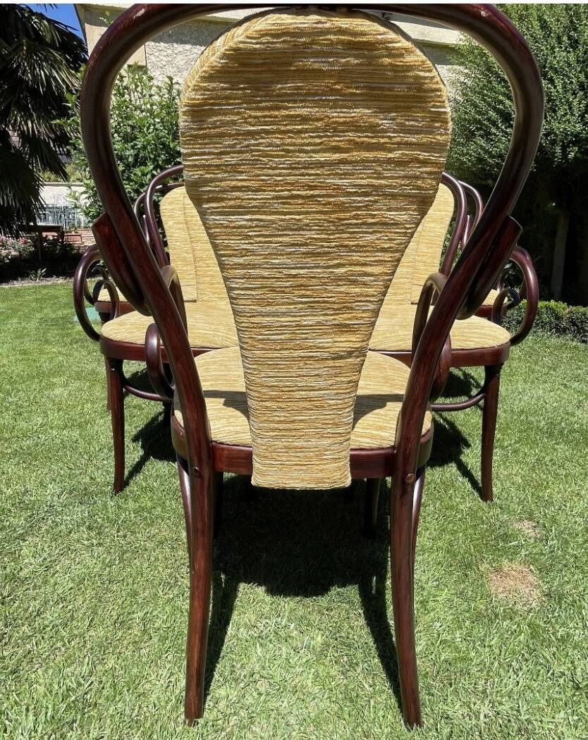 6 Fauteuils  THONET  FMG