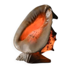 Vintage Shell Lamp