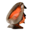 Vintage Shell Lamp