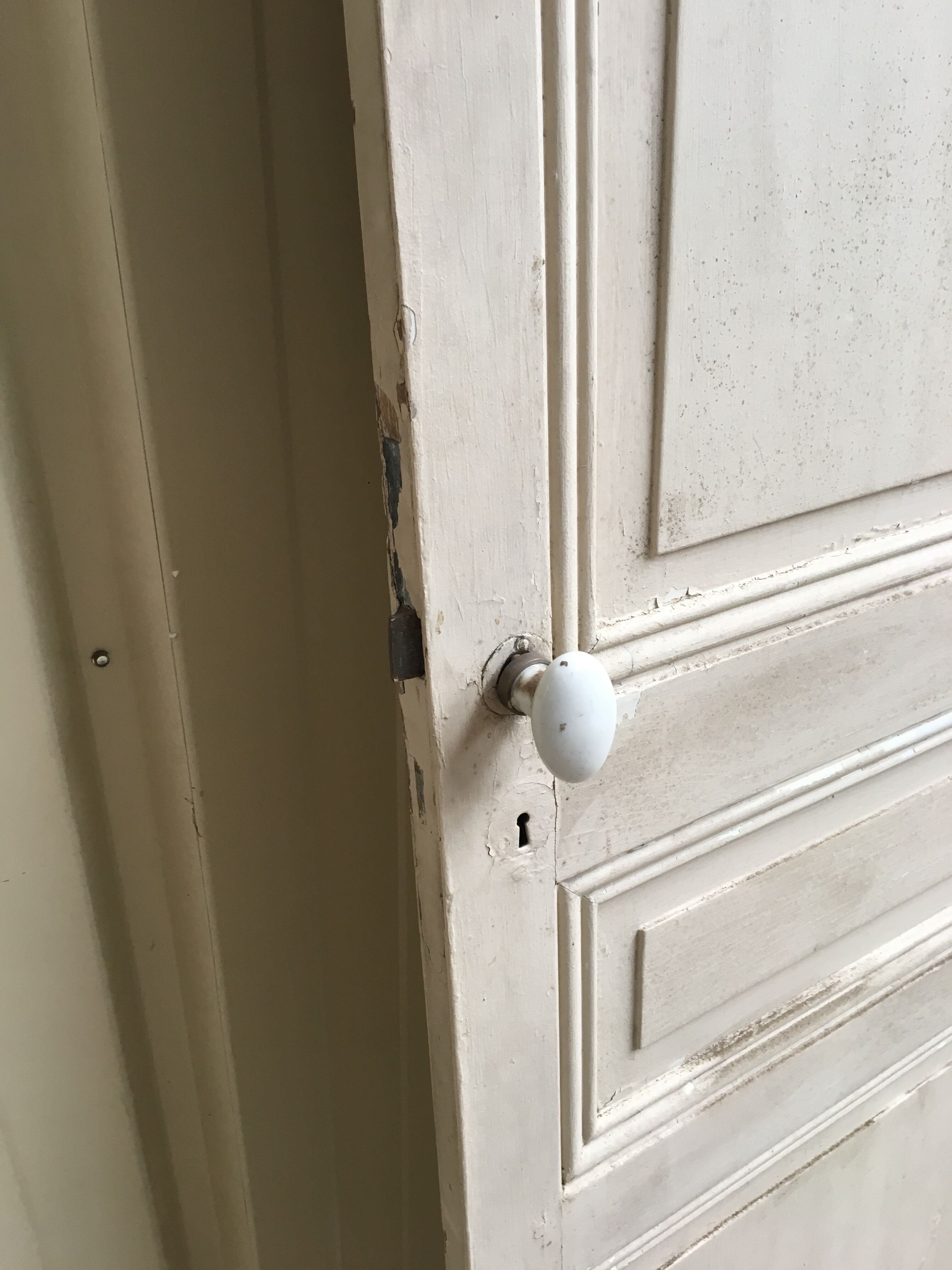 Old Haussmanian interior door