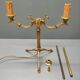 Napoleon III style zoomorphic lamp foot