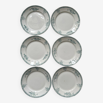Series of 6 old flat plates