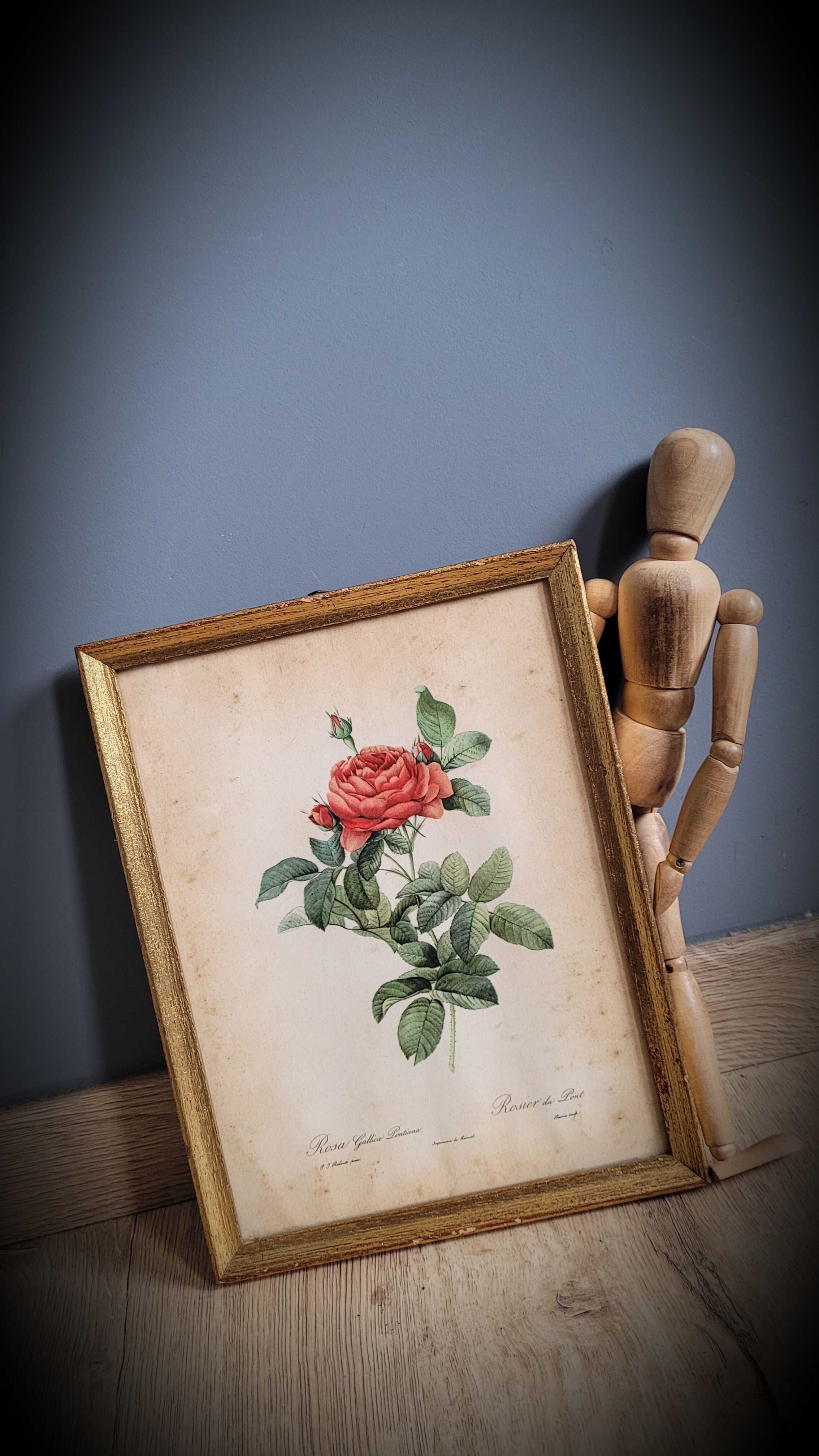 Litho rose of Pont P