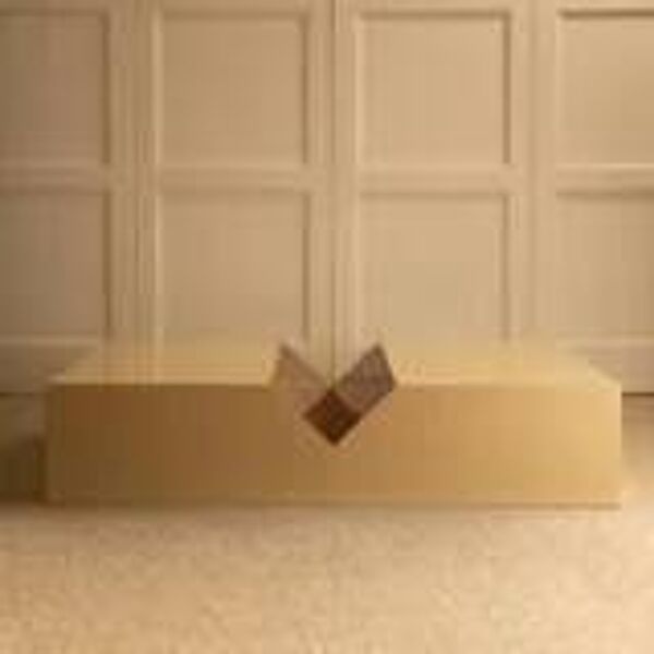 Table basse / porte-revue