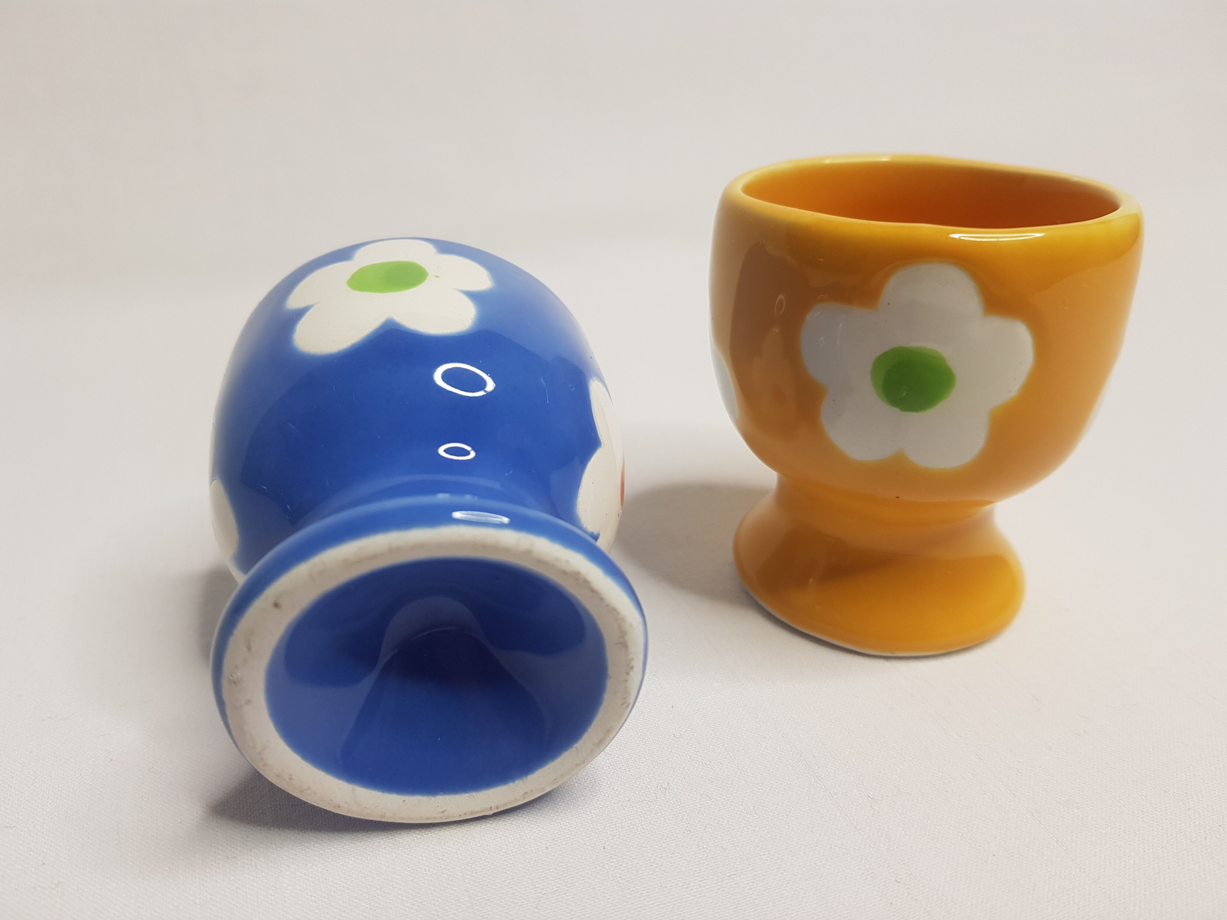 Pair of blue and yellow cockroaches with floral motifs