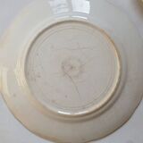 3 mismatched old plates