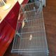 Shelf ikea Niels Gammelgaard 80-90, for ikea of sweden