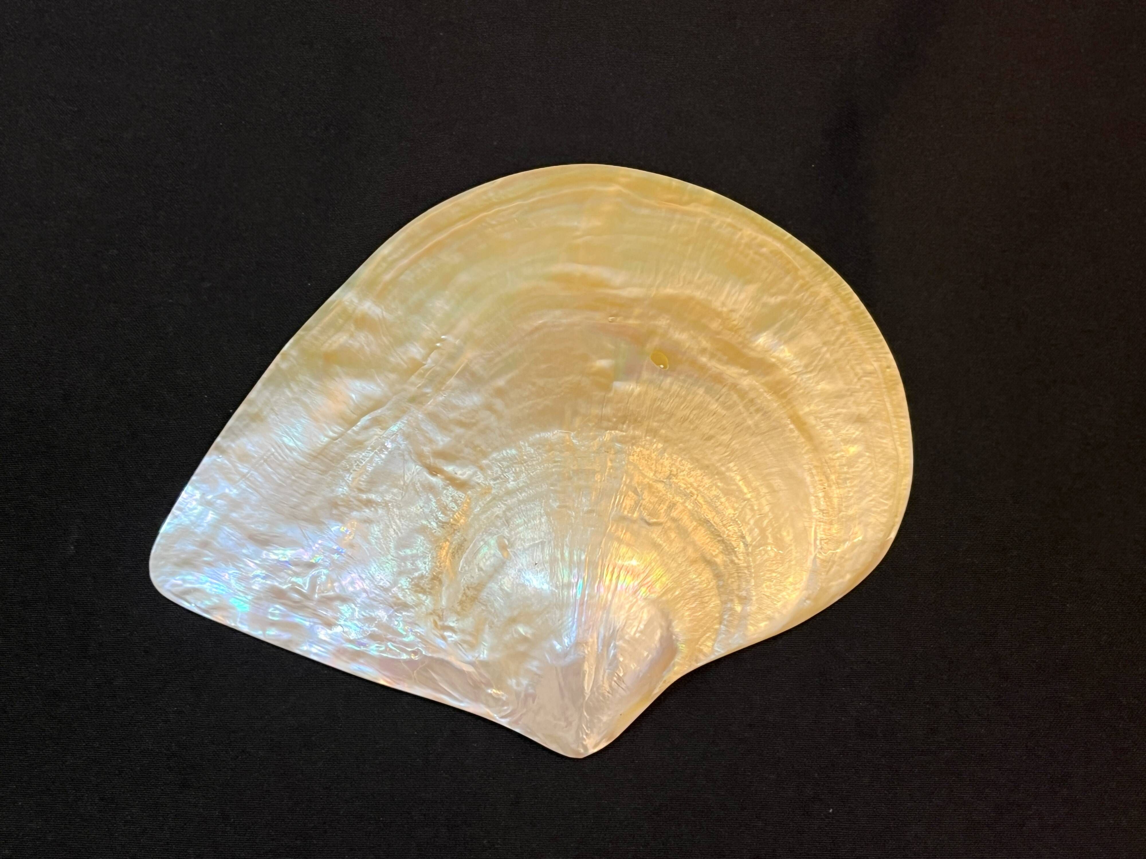 Large mother-of-pearl oyster natural pearl trinket dish from the 70s