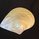 Large mother-of-pearl oyster natural pearl trinket dish from the 70s
