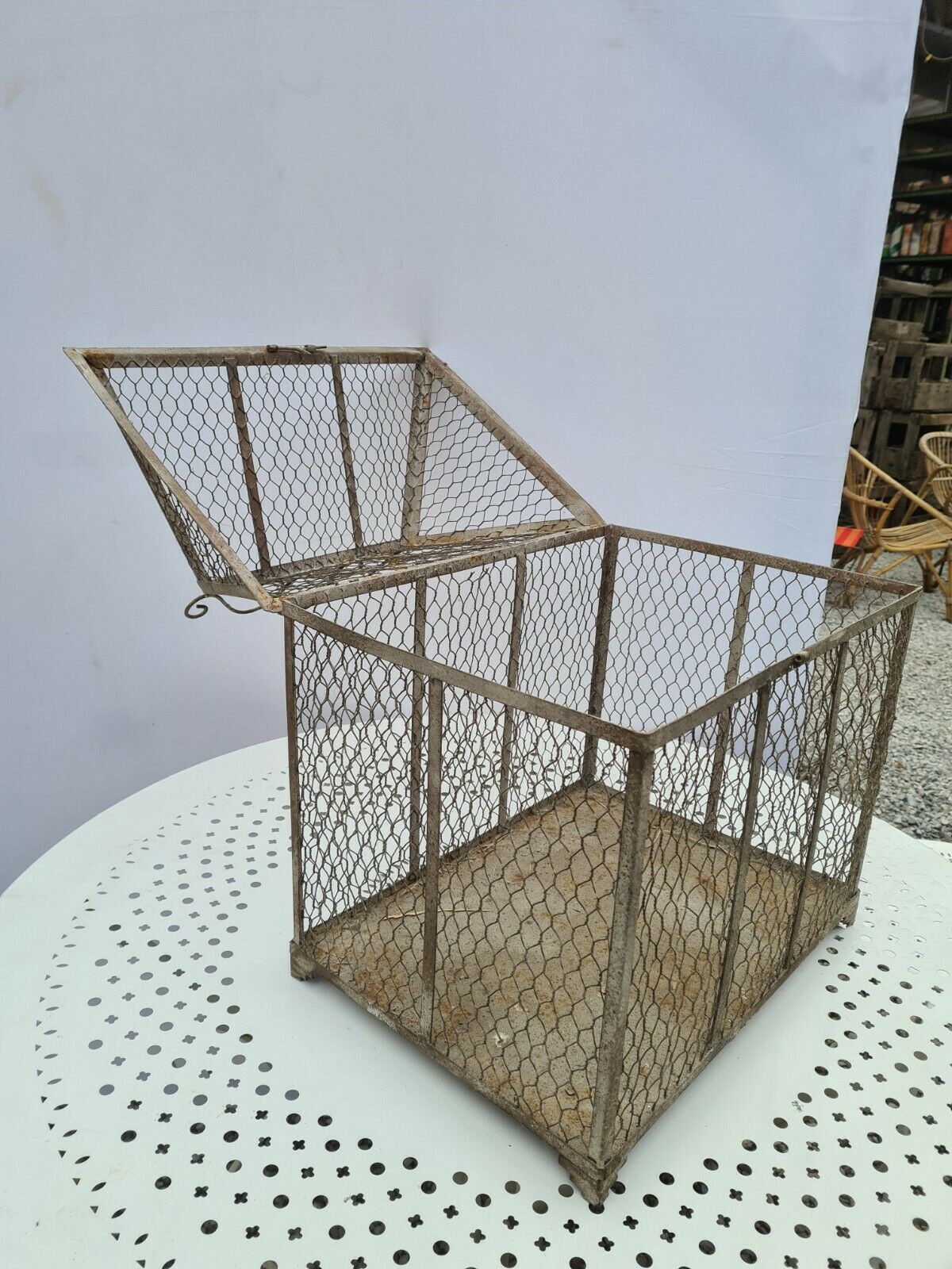 Iron bird cage
