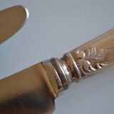 12 couteaux de table métal argenté 25,5 cm