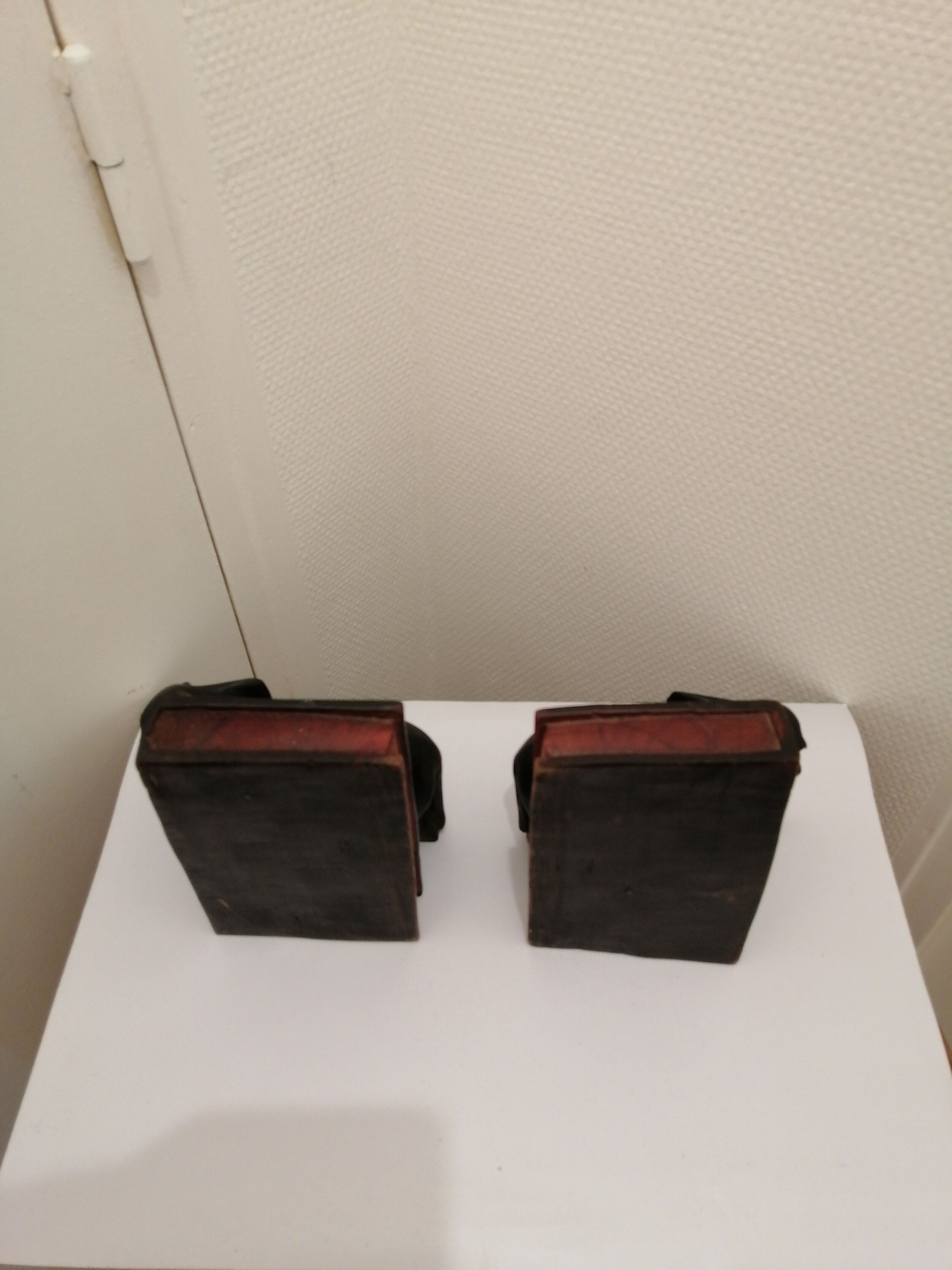 Greenhouse books wooden elephants