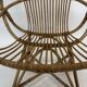 Fauteuil rotin Van Rohe Noordwolde, 1960