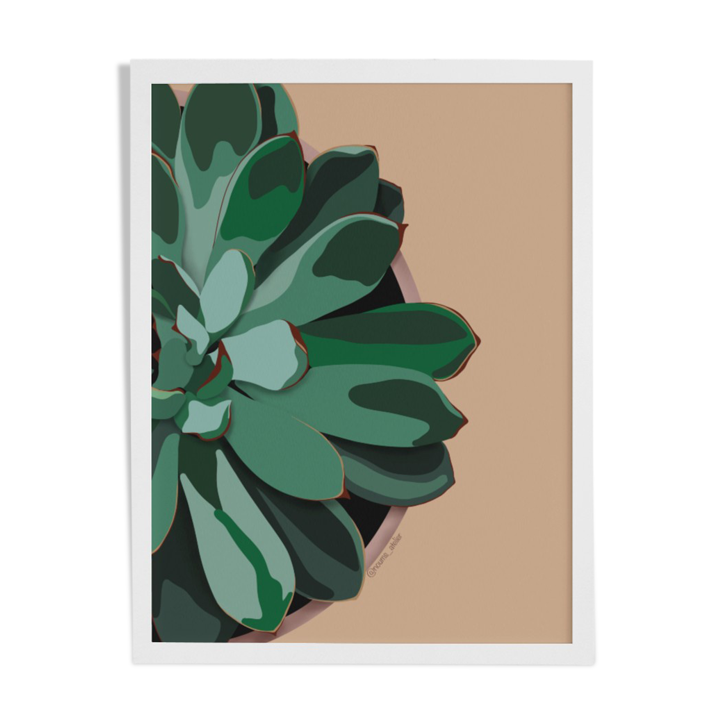 Illustration "Succulent #1" by Noums Atelier