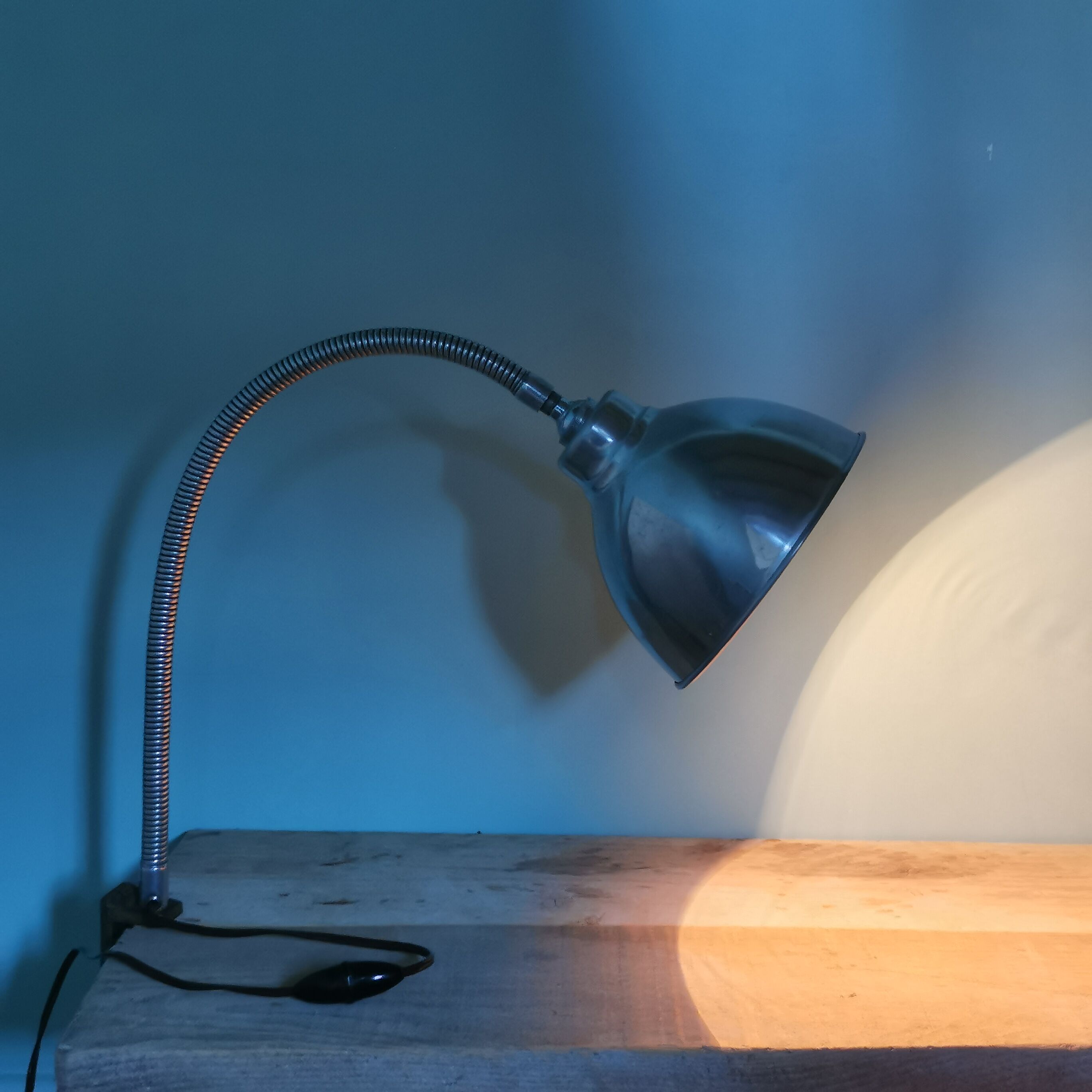 Workshop lamp