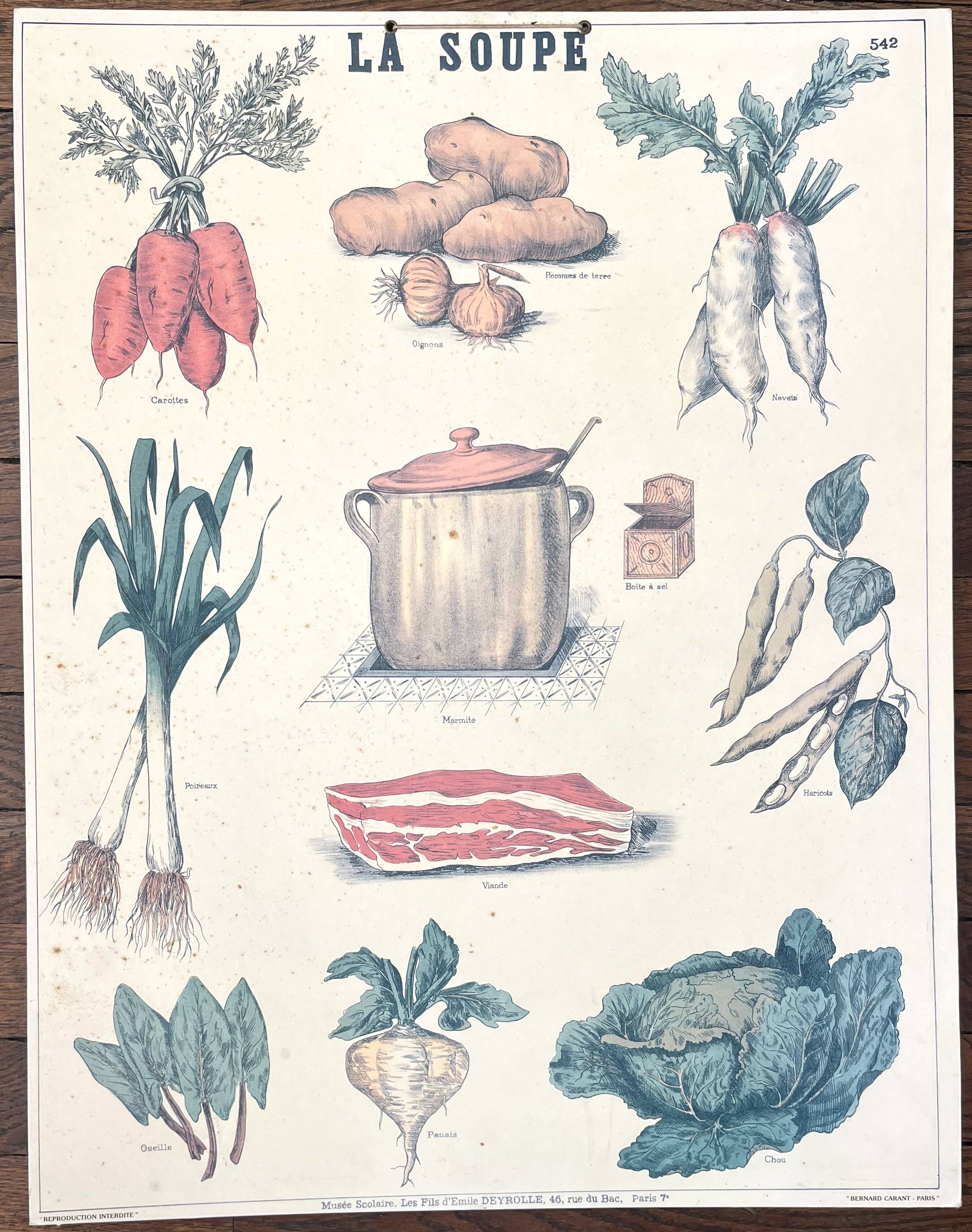 🥕 Ancienne affiche scolaire Deyrolle originale, 542, 1950 - La soupe, les
