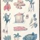 🥕 Ancienne affiche scolaire Deyrolle originale, 542, 1950 - La soupe, les