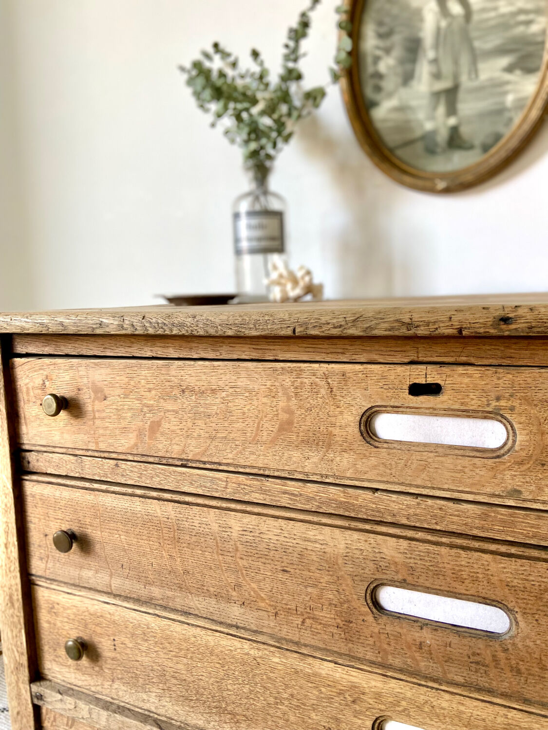 Oak professional furniture - Chest of drawers