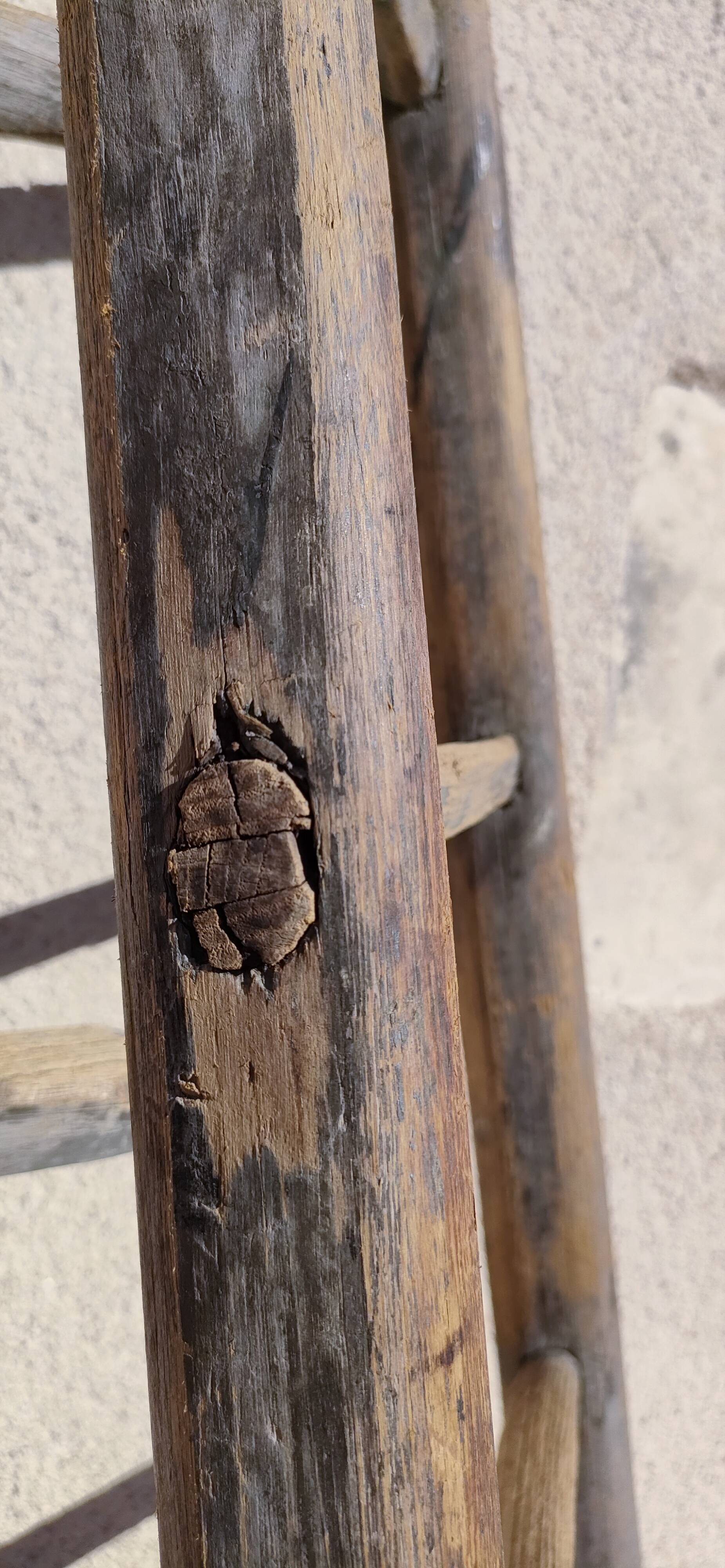 Two weathered wooden ladders H.135 cm