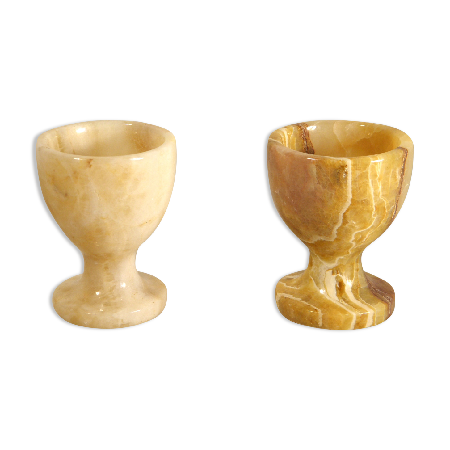 Two onyx cockroaches