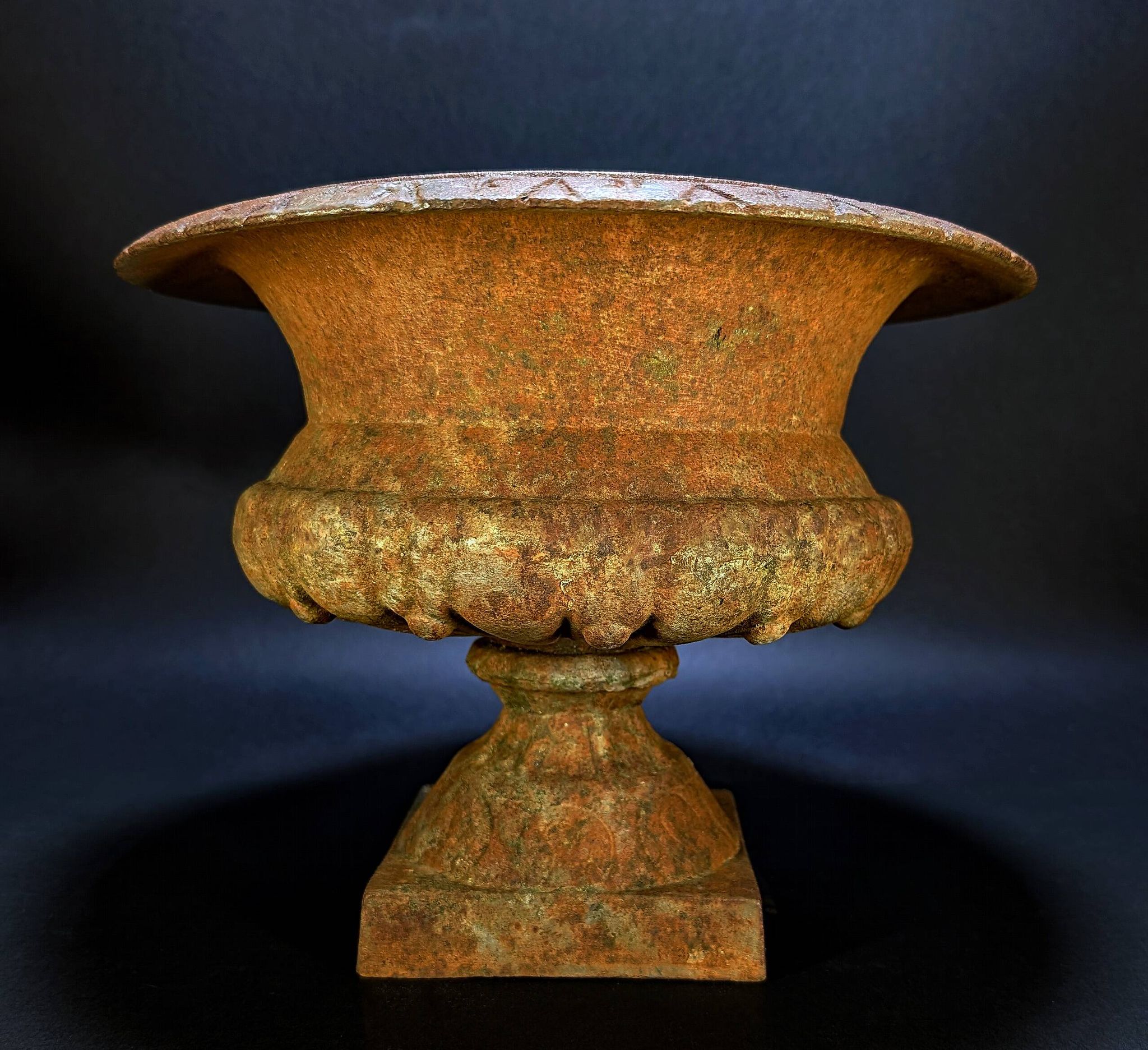 Old Cast Iron Planter – Medici Basin on Stand – 27 cm – 5.5 kg