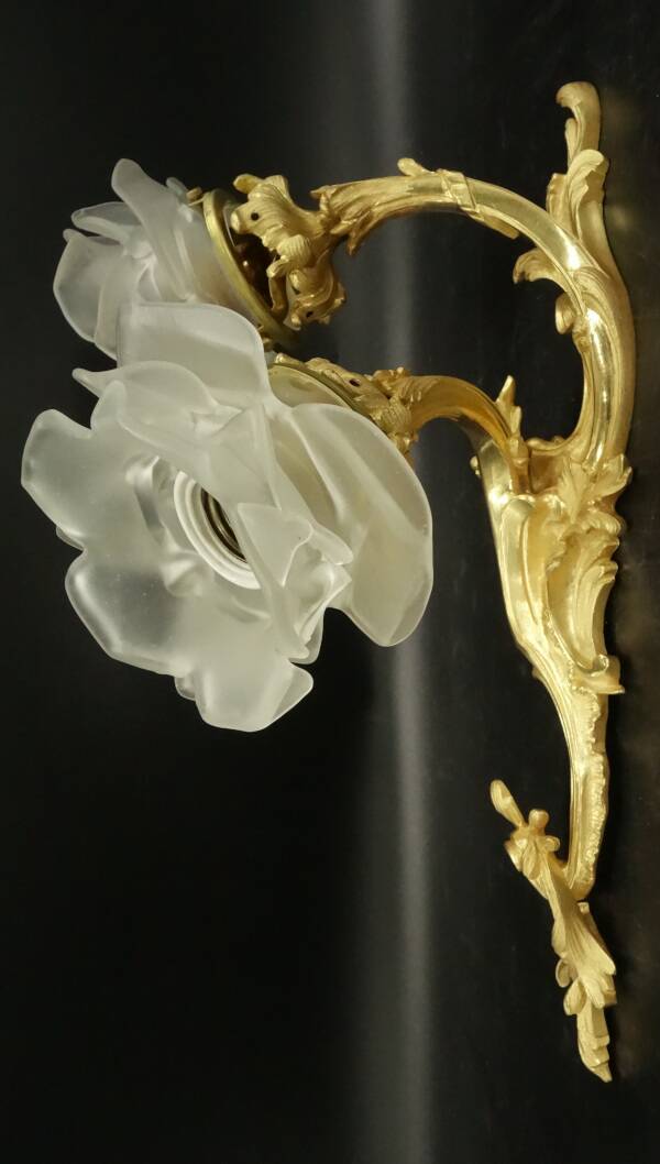Paire de grandes appliques style Rocaille / Rococo fin XIXe