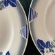 Lot 6 flat plates, 1 dish, 1 Ceranord Saint Amand Vintage 1950s dish