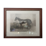 Tableau cheval par Adrien Moreau