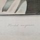 La Roche Laffitte (Born in 1943) - Watercolour drawing on fabric - Harle