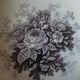 Salad bowl Sarreguemines old