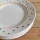 Set of 6 vintage plates, gien