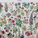 Illustration ancienne Millot "Fleurs annuelles ou bisanuelles"
