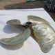 Radice bronze boat propeller
