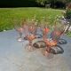 6 antique Rosaline liqueur glasses – vintage pink glass – 50s/60s
