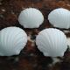 Suite of four Limburg shell sconces