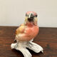 Karl Ens - Bird Figurine - Porcelain