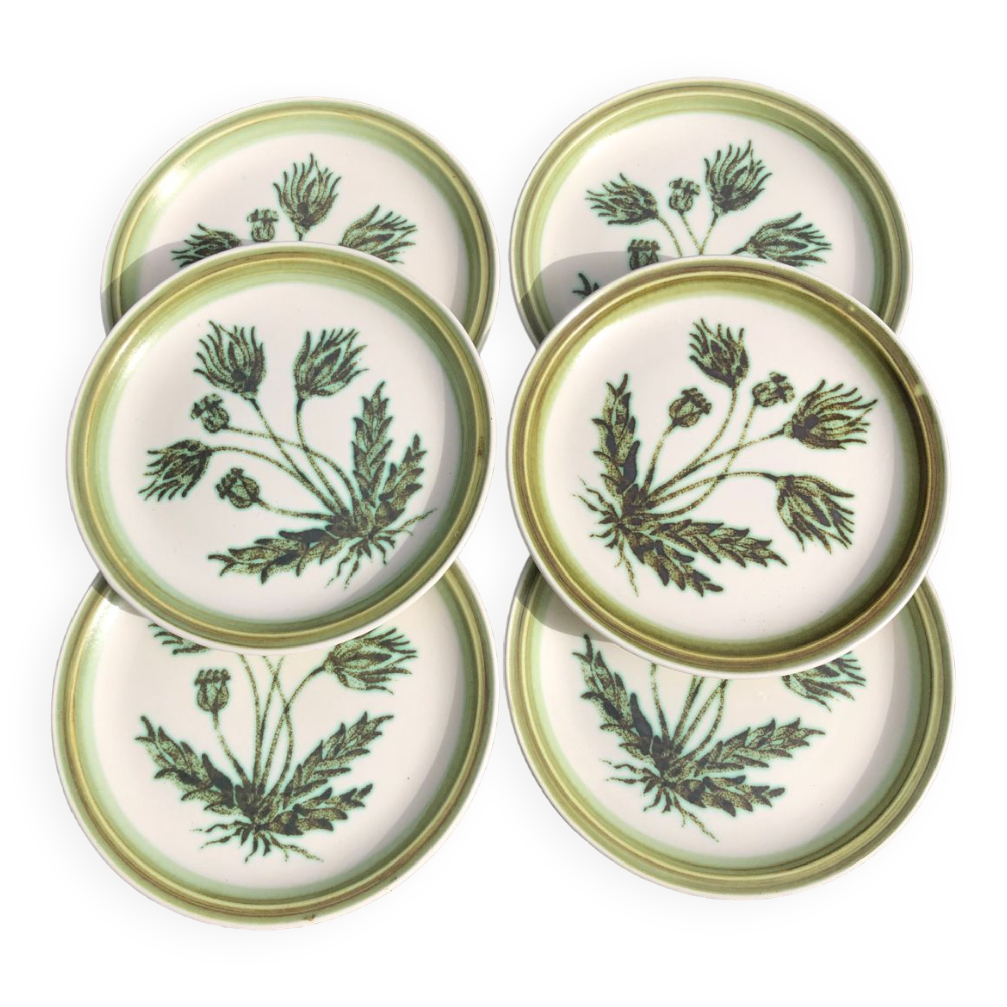 Gien enameled stoneware dinner plates “Herbariums”