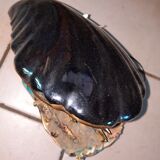 Mold-shaped lamp