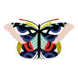 FLY - A4 illustration