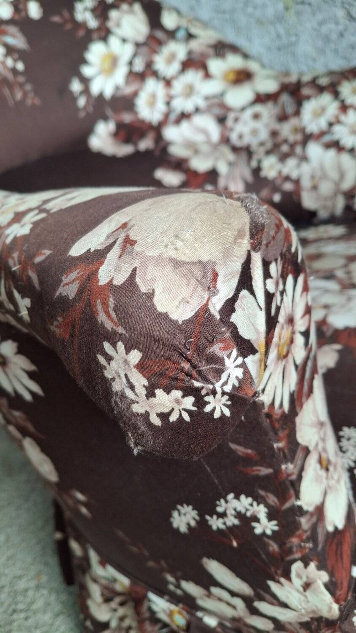 Napoleon III toad chair – Antique structure, floral fabric