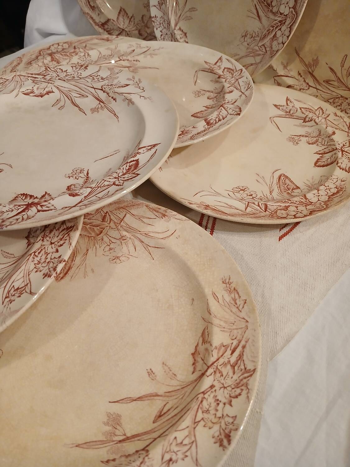 10 antique ironstone dinner plates