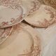 10 antique ironstone dinner plates