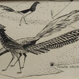 Gravure "Faisans Orientaux" 1950's