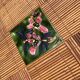 Rattan coffee table and ceramics