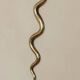 Pair of Neo-Egyptian Style Engraved Brass Wall Sconces Featuring Cobras