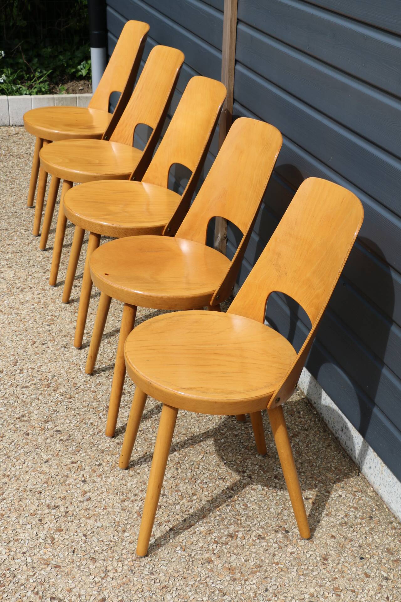5 BAUMANN “MONDOR” light beech chairs