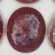 6 Morvan oval flat plates