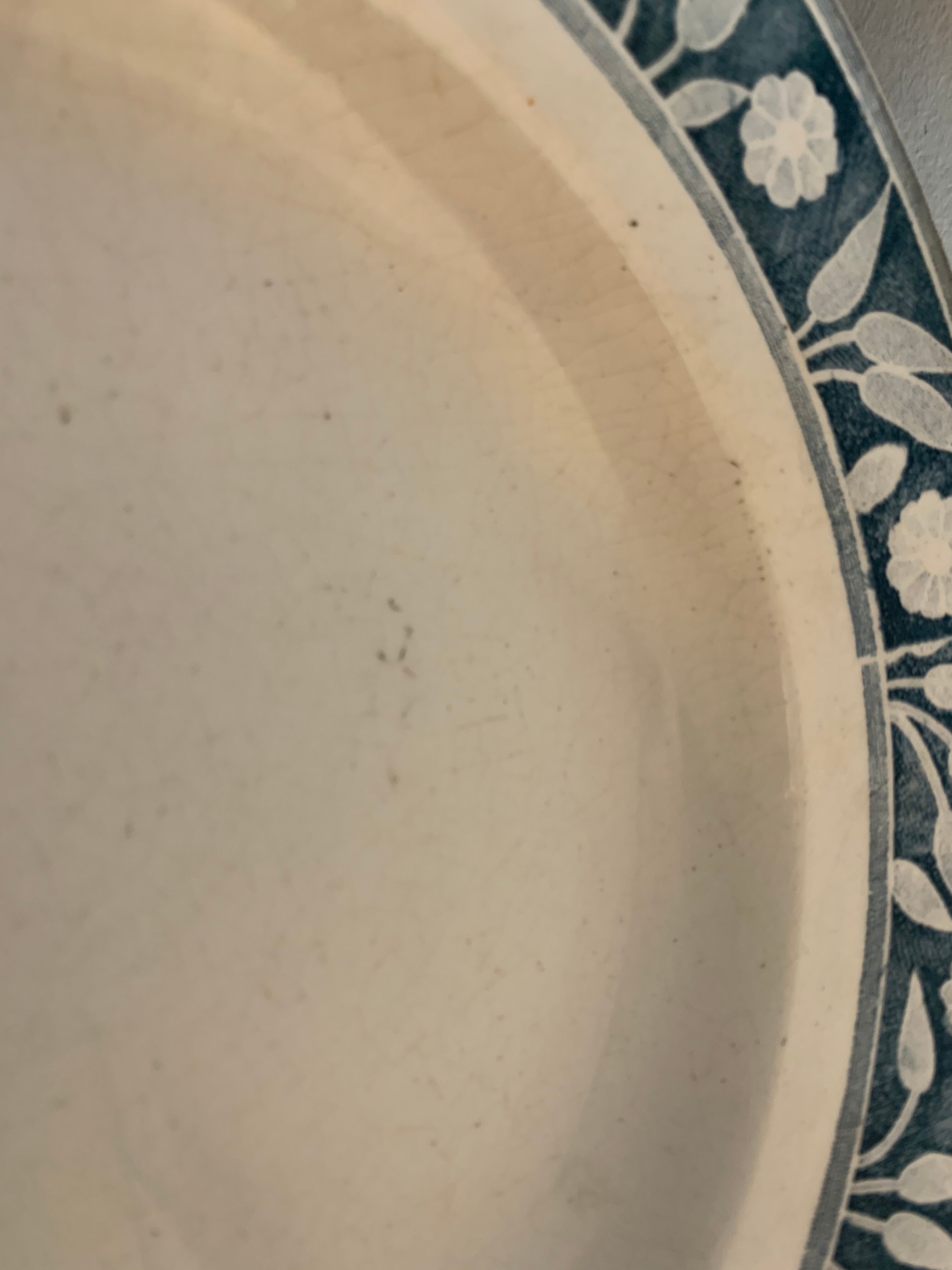 6 hollow plates art nouveau Creil and Montereau Labrador Warsaw 19th