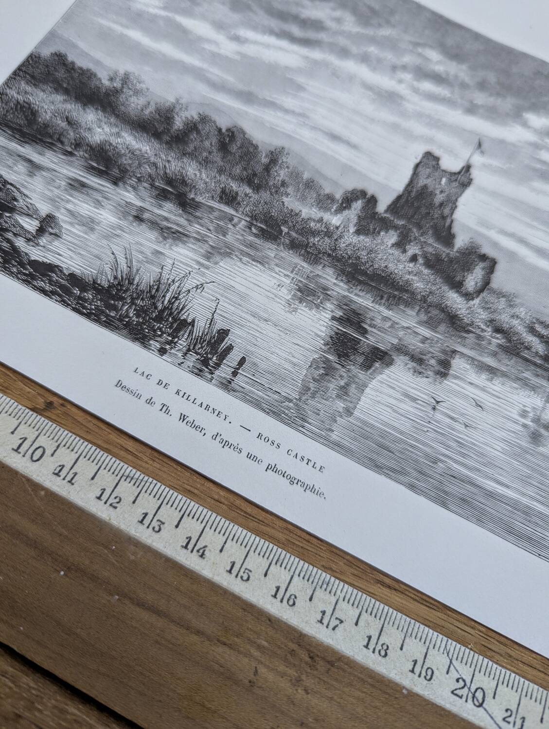 Ross Castle, Killarney, Ireland, printed illustration from 1879.